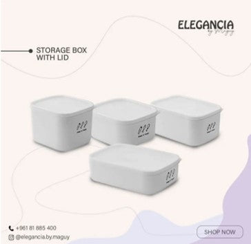 Storage box with lid